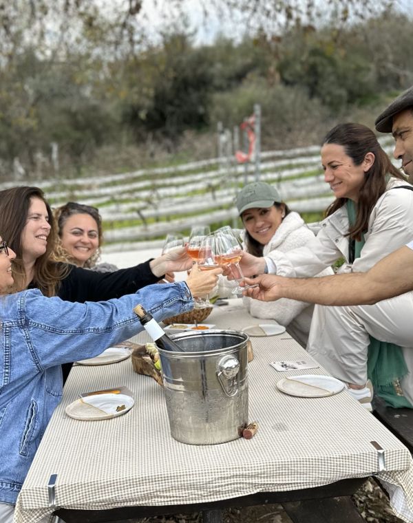 תמונה של יקב יונה: מרימים לחיים בין הכרמים של ציפורי - למטייל בישראל (טיולי)